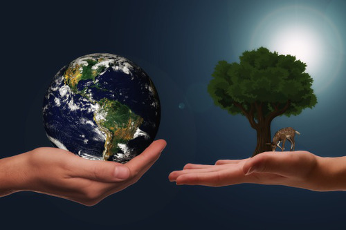 Styropian a środowisko - jaki ma wpływ na planetę?
